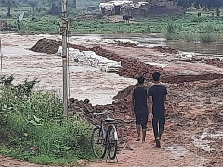 Flood News Bihar